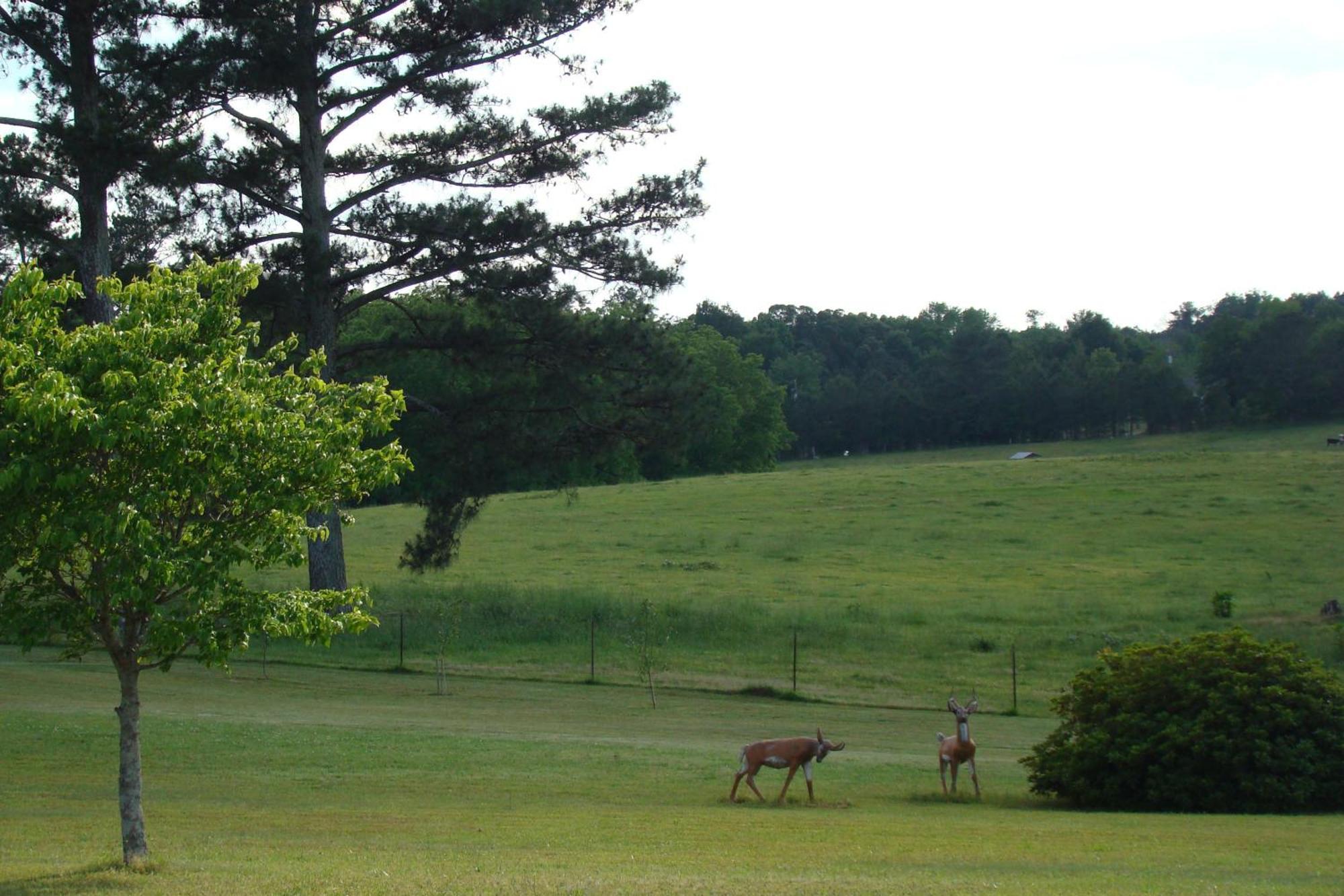The Chapman House Villa Lineville ภายนอก รูปภาพ